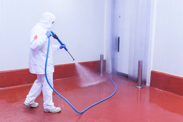 Best Commercial Pressure Washing in Mason Neck, VA